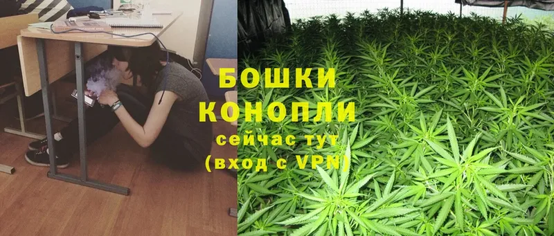 площадка клад  Никольское  МАРИХУАНА SATIVA & INDICA 